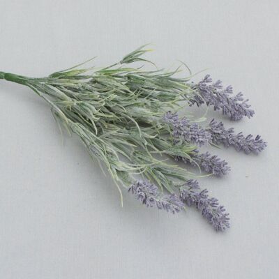 Lavendelbusch 'Premium' x 7, L= 33 cm, lila