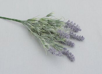 Buisson de lavande 'Premium' x 7, L = 33 cm, violet