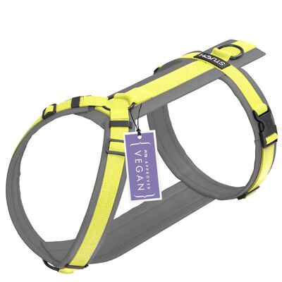 Padded dog harness - Lime