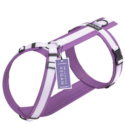 Padded dog harness - purple