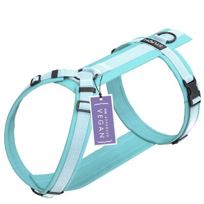 Padded dog harness - turquoise