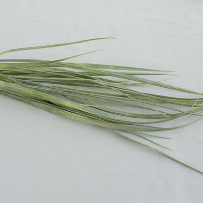 Grass bush x5, L= 90 cm, green-grey