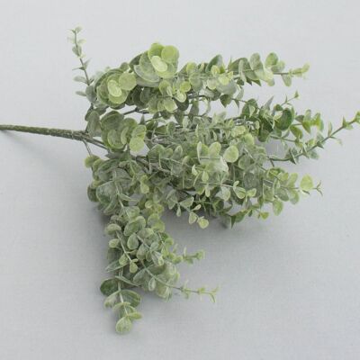 Cespuglio di eucalipto x 7, L = 35 cm, grigio-verde