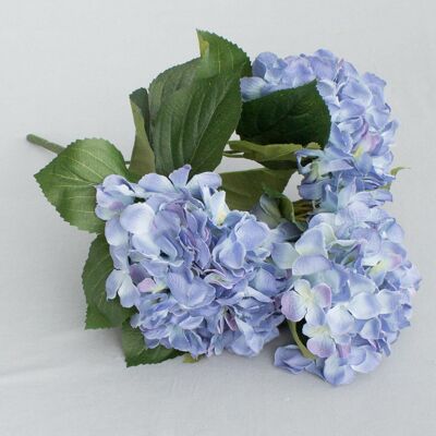 Arbusto de hortensias x 5, L = 45 cm, azul