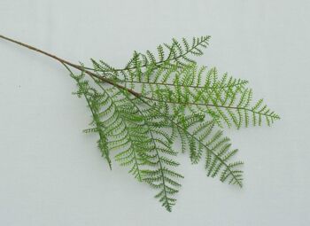Branche de fougère, L = 55 cm, verte