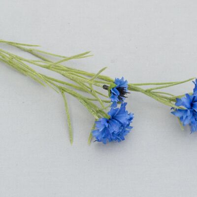 Cornflower x 3, L= 68 cm, blue