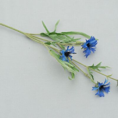 Cornflower x 4, L= 62 cm, blue