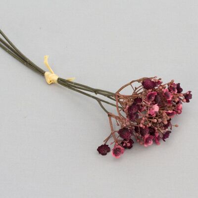 Gypsophila bunch x 3, L= 30 cm, d.red