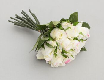 Bouquet de roses x16, L= 30 cm, crème/rose