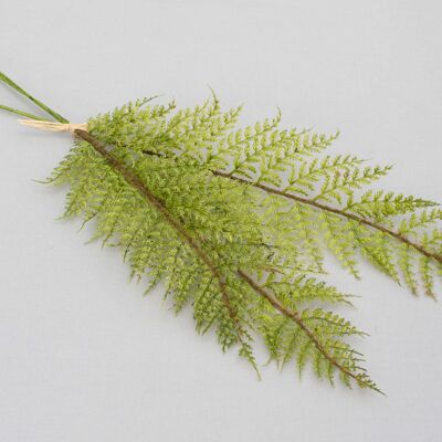 Fern bunch x 3, L= 60 cm, green