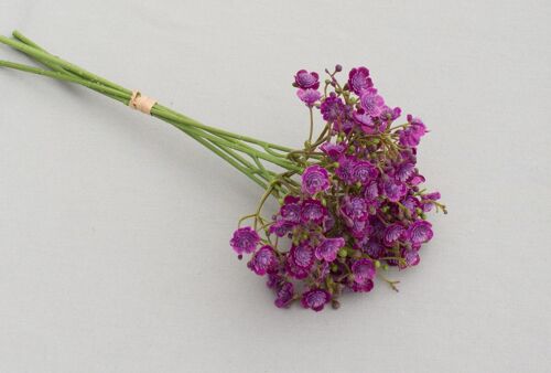 Schleierkrautbund x 5, L= 30 cm, lila