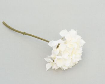 Pic à hortensia, L = 32 cm, crème