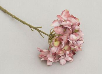 Pic à hortensia, L = 32 cm, vert-mauve