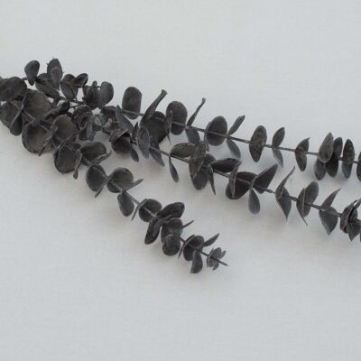 Eukalyptuszweig, L= 83 cm, grau/schwarz