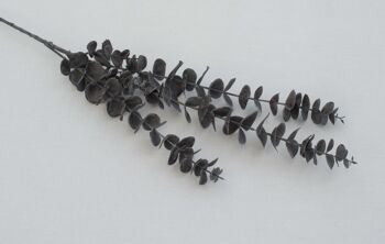 Branche d'eucalyptus, L= 83 cm, gris/noir