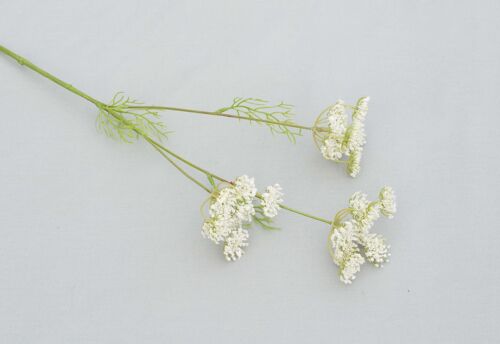 Dill x 3, L= 50 cm, creme