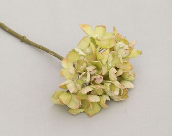 Pic à hortensia, L = 32 cm, vert