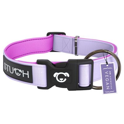 Padded dog collar - lilac