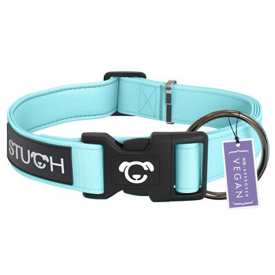 Padded dog collar - turquoise