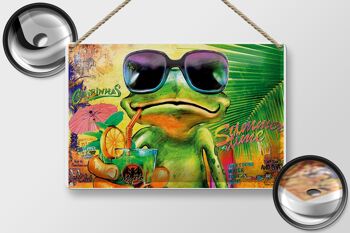 Plaque en tôle grenouille 30x20cm Cocktail Mojito Summer Beach 2