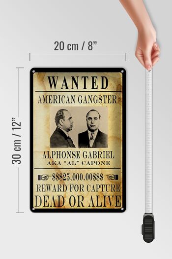 Plaque en tôle 20x30cm Wanted Alphonse Gabriel américain 4
