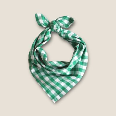 Liv Gingham Green