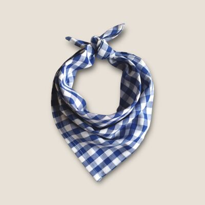 Liv Gingham Blue