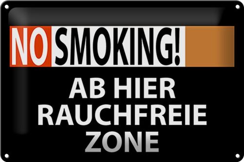 Blechschild Hinweis 30x20cm No Smoking Rauchfreie Zone