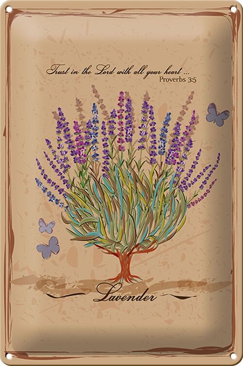 Blechschild Lavendel 20x30cm trust in the lord with all