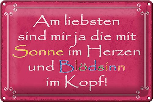 Blechschild Spruch 30x20cm am liebsten sind die mit Sonne