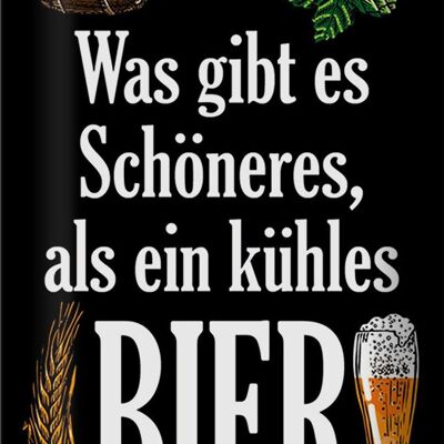 Blechschild Spruch 20x30cm was schöneres als kühles Bier