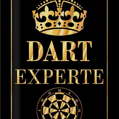 Targa in latta con scritta "Dart Expert Crown" 20x30 cm