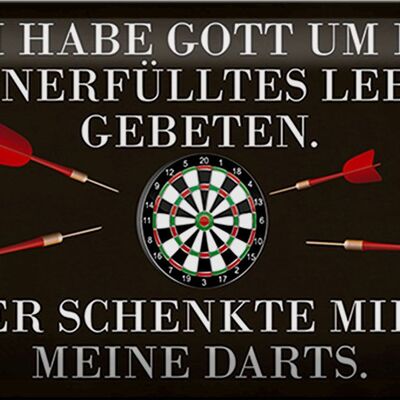 Blechschild Spruch 30x20cm Gott schenkte mir meine Darts