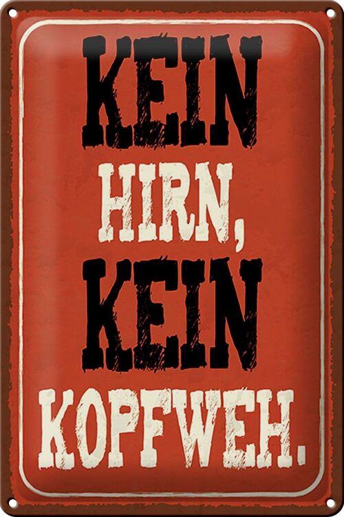 Blechschild Spruch 20x30cm kein Hirn kein Kopfweh