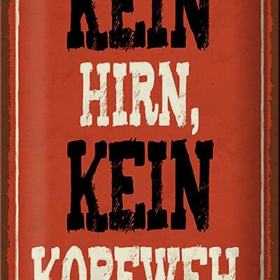 Blechschild Spruch 20x30cm kein Hirn kein Kopfweh