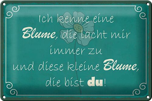 Blechschild Spruch 30x20cm ich kenne eine Blume die bist du