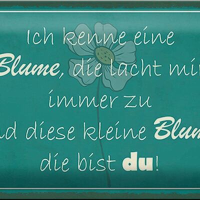 Blechschild Spruch 30x20cm ich kenne eine Blume die bist du