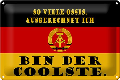 Blechschild Spruch 30x20cm so viele Ossis bin der coolste