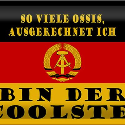 Blechschild Spruch 30x20cm so viele Ossis bin der coolste