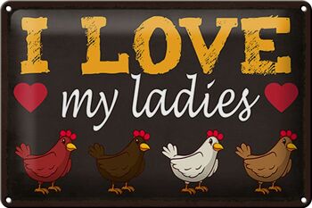 Plaque en étain disant 30x20cm poulets j'aime mes dames 1