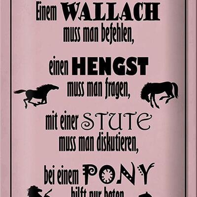 Cartel de chapa que dice 20x30cm caballos wallah semental pony yegua
