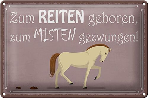 Blechschild Spruch 30x20cm zum Reiten geboren Pferd