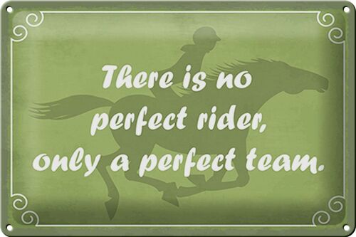 Blechschild Spruch 30x20cm there is no perfect rider only