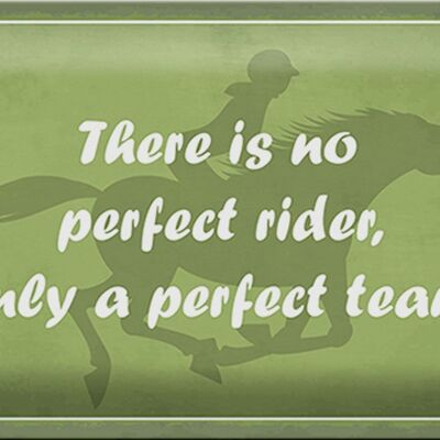 Metal sign saying 30x20cm there is no perfect rider only