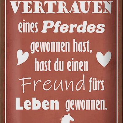 Blechschild Spruch 20x30cm Vertrauen eines Pferdes Freund