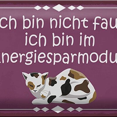 Blechschild Spruch 30x20cm Katze ich bin nicht faul bin im