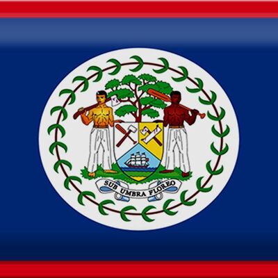 Targa in metallo Bandiera Belize 30x20 cm Bandiera del Belize