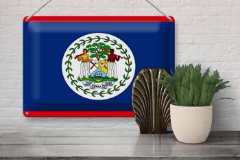 Signe en étain drapeau Belize 30x20cm drapeau du Belize 3