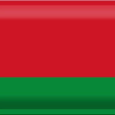 Blechschild Flagge Weißrussland 30x20cm Flag of Belarus