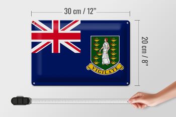 Drapeau en étain des îles Vierges britanniques, 30x20cm 4
